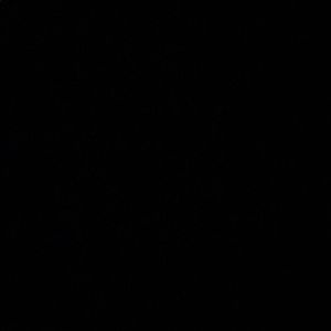 Meet your Posher, Nabila